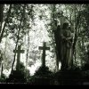 Cemetery-123