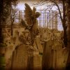 Cemetery-65