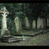 Cemetery-92
