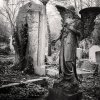 Cemetery-141